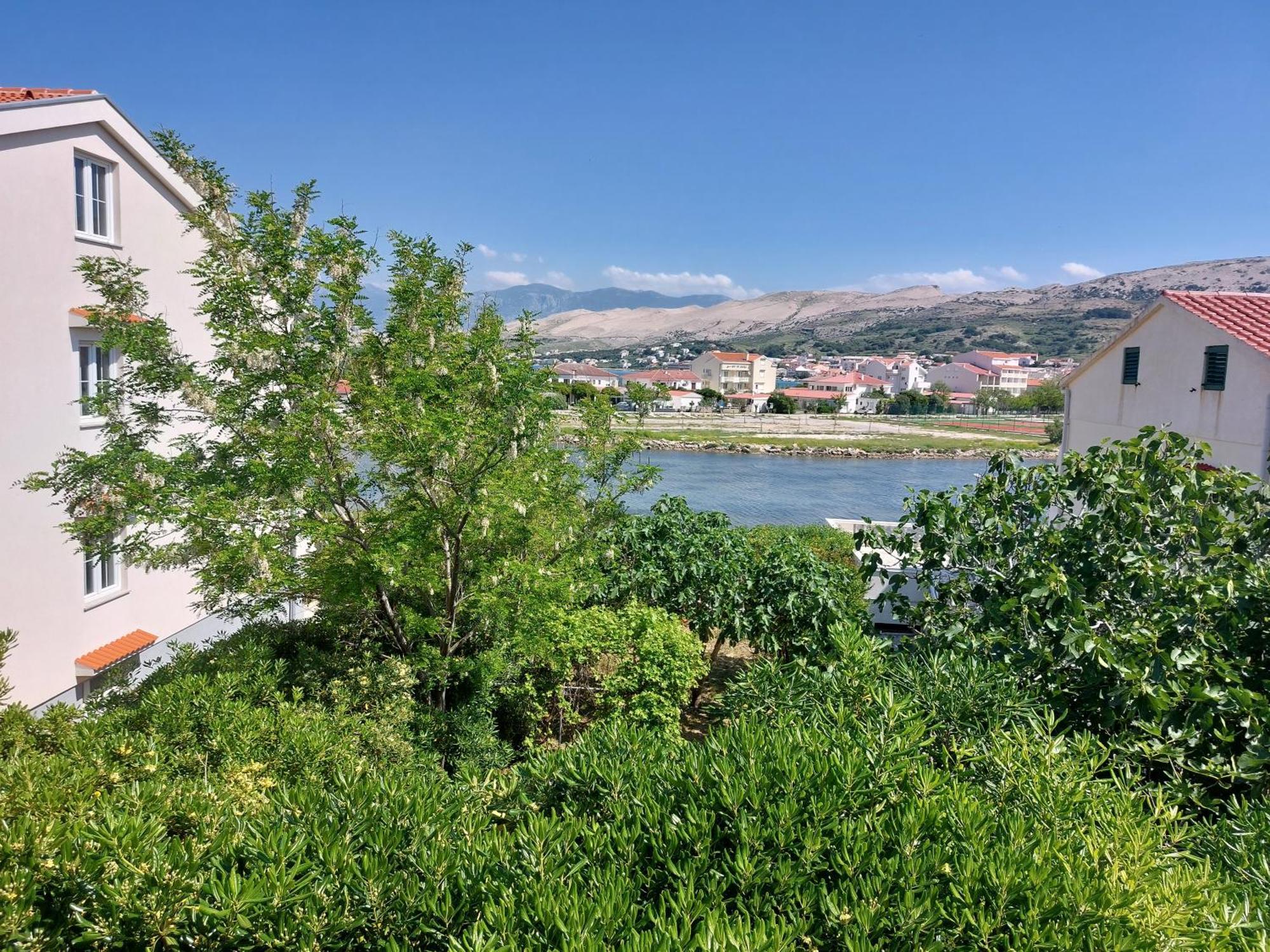 Apartmani Lavanda Pag Town Rum bild
